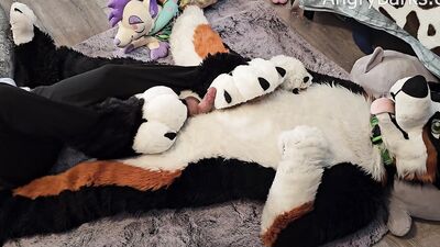 Voz gets a back to back pawjob from his horny step bro