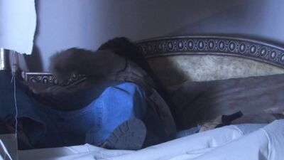 Stepson bangs busty MILF Felicia Fox in taboo doggy-style action