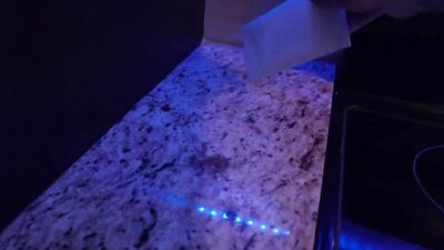 Randy stepdaddy facefucks rebel stepdaughter
