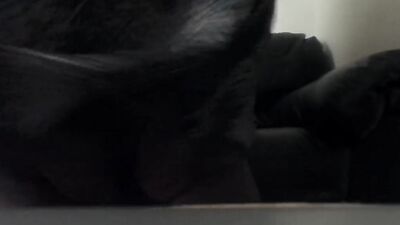 Ebony Stepmom dancing on the couch