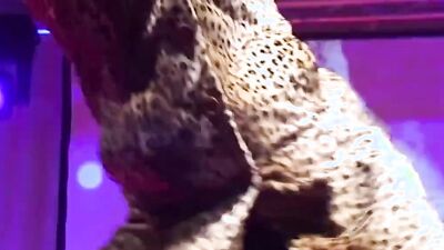 Public Flexi Lesbian MILF Show