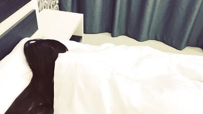 I Let My Step Brother Fuck My Throat And Pussy To Miss College  - Natalissa