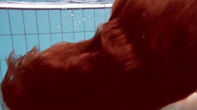 Watch Sexiest Girls Swim Naked In The Pool