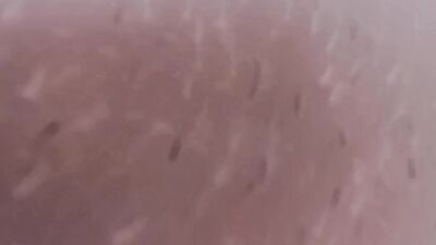 Big tit Mother in law comes into room Rides cock