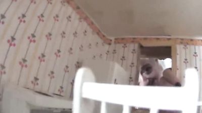 Sister POV