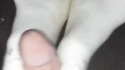 Step daddy loves my dirty sweaty ankle socks on his hard cock