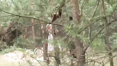 busty stepmom loves sex in nature