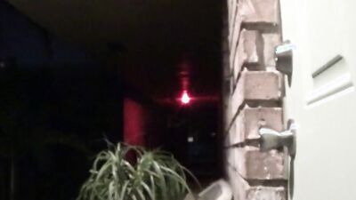 Amateur girl sucks a cock and gets fucked in trimmed pussy