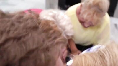 Curvy mature women are licked and fucked in this HC compilation