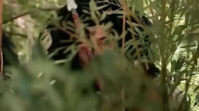 Wild SEXXX - vol. #02