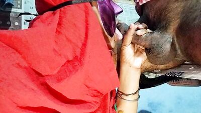 Bhabhi Ki chudai Ki Christmas ka din doggy Style ma