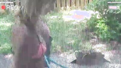 Step Mom's Peeping Tom