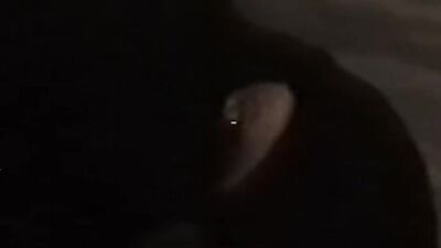 DADDY GIVING YOU CUMMING INSTRUCTIONS (AUDIO ROLEPLAY) LISTEN TO MY VOICE GUIDE YOU TO ORGASM DIRTY NASTY DIRTY TALK