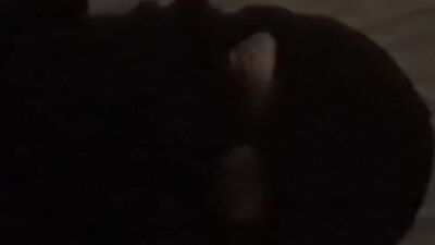 DADDY GIVING YOU CUMMING INSTRUCTIONS (AUDIO ROLEPLAY) LISTEN TO MY VOICE GUIDE YOU TO ORGASM DIRTY NASTY DIRTY TALK