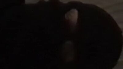 DADDY GIVING YOU CUMMING INSTRUCTIONS (AUDIO ROLEPLAY) LISTEN TO MY VOICE GUIDE YOU TO ORGASM DIRTY NASTY DIRTY TALK