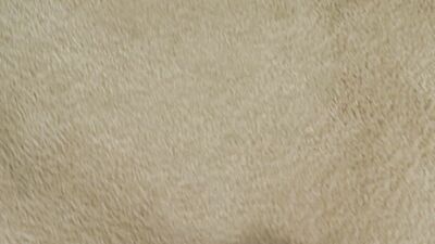 JAY'S POV - MY ALL NATURAL SLENDER STEP SIS JEWELZ BLU IS A TOTAL WHORE