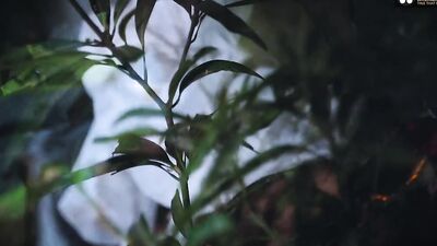I YourStarSudipa loves to fuck outdoor with my Step-brother at night ( Hindi Audio )